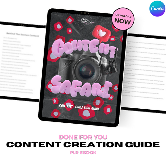 DFY Content Creator E-Book